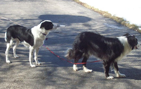 With foster sister Gladys.